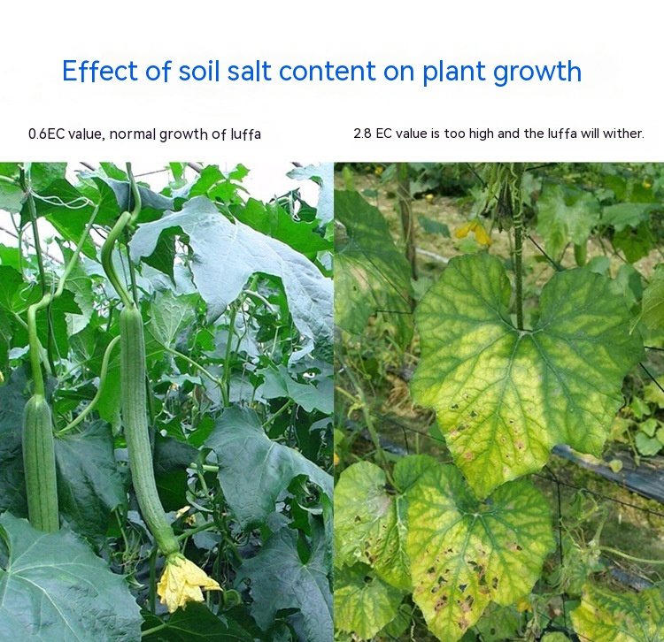 Digital Soil pH & Nutrient Tester – Accurate EC Meter for Garden and Plant Soil Analysis