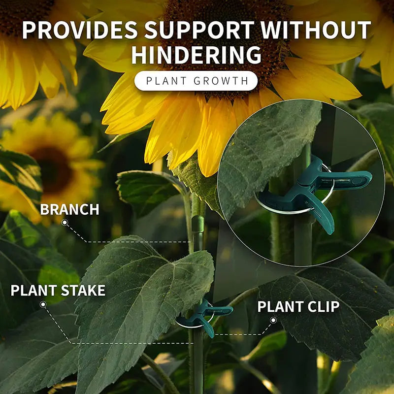 Plant Support Clip Set – Adjustable Garden Loops for Plant Care and Growth Support