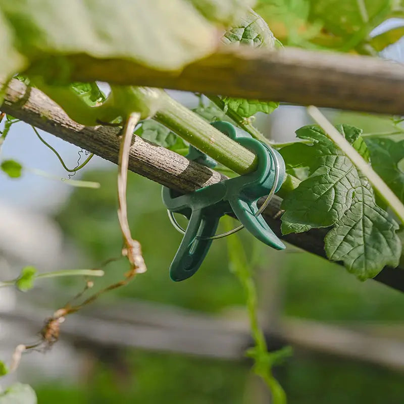 Plant Support Clip Set – Adjustable Garden Loops for Plant Care and Growth Support