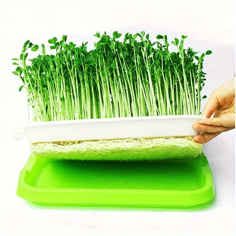 Seed Germination Tray with Lid – Double-Layer Plant Starter Tray for Efficient Growth
