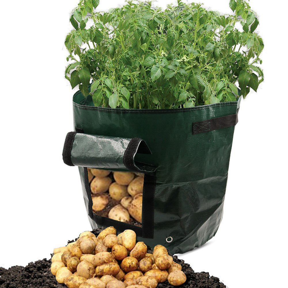 Potato Planting Grow Bag – Reusable With Window For Easy Harvesting
