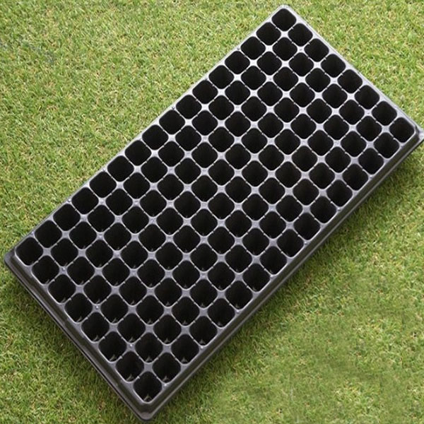 Rectangular Seedling Tray - Ideal for Germination and Plant Growth