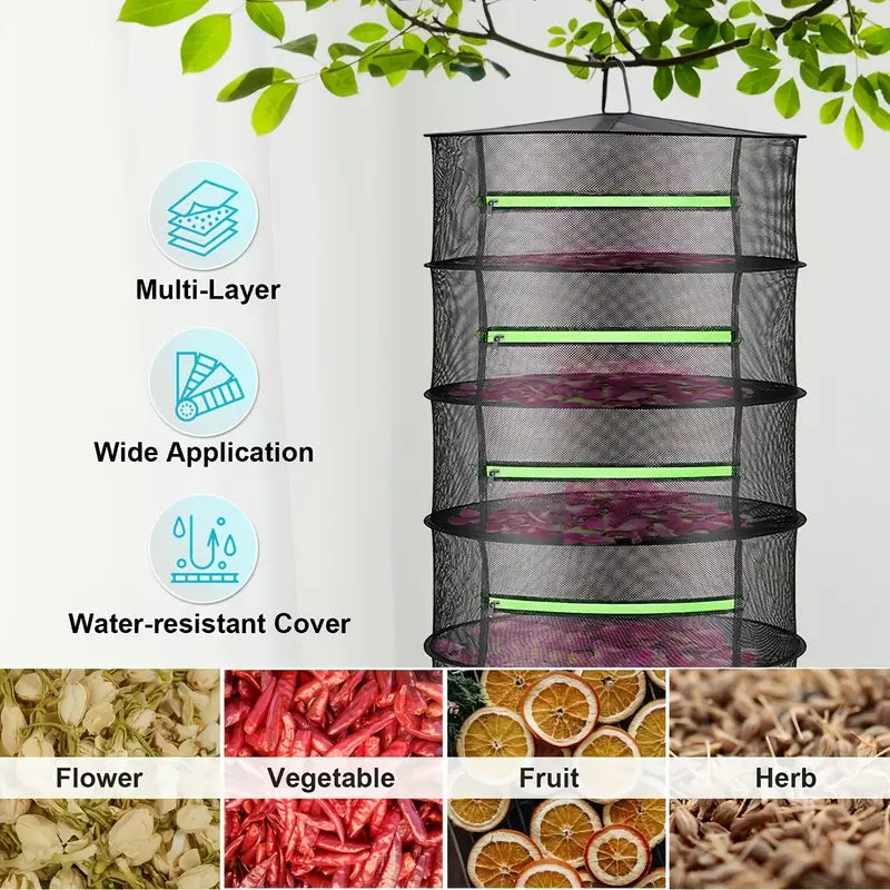 Collapsible Drying Rack for Fruits, Vegetables, and Herbs – Multi-Tier Mesh Organizer for Fast Drying
