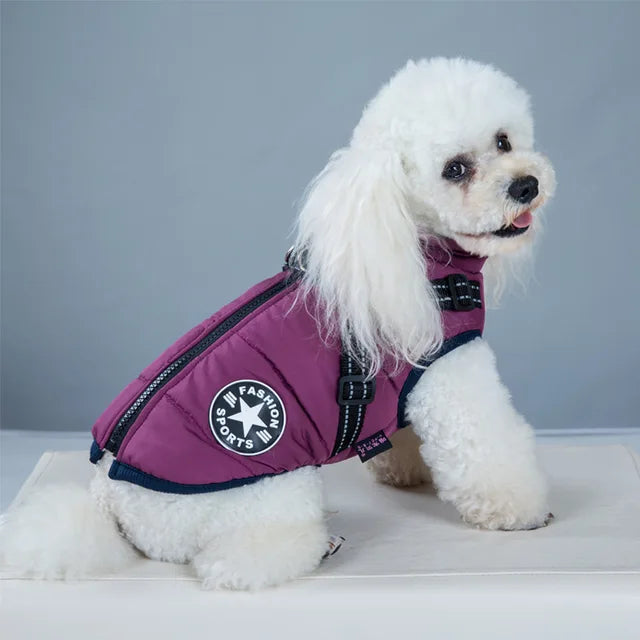 Wind- and Waterproof Jacket for Dogs with Harness