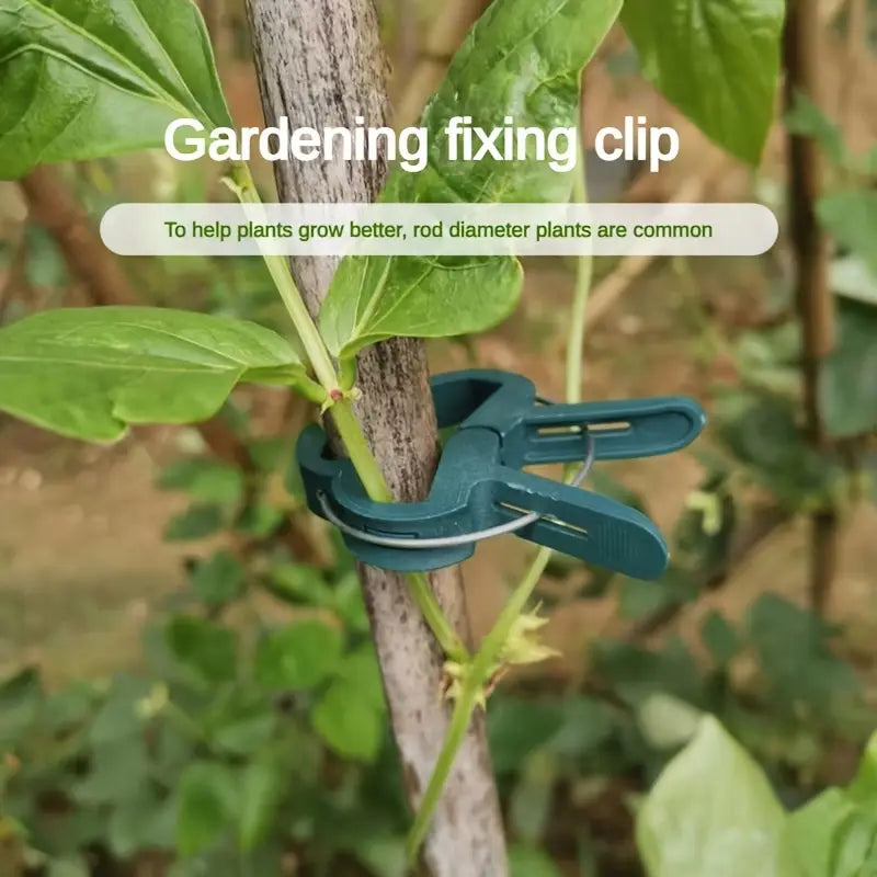 Plant Support Clip Set – Adjustable Garden Loops for Plant Care and Growth Support