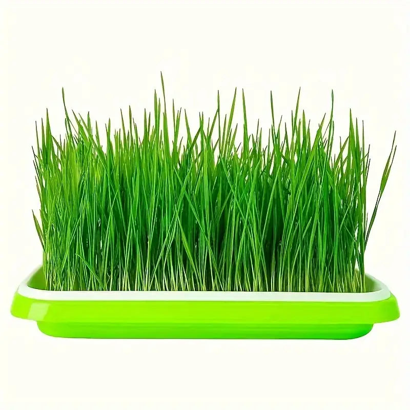 Seed Germination Tray with Lid – Double-Layer Plant Starter Tray for Efficient Growth
