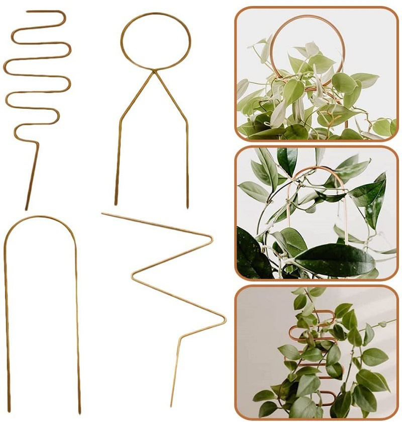 Durable Metal Plant Support - Versatile Shapes for Climbing and Vining Plants