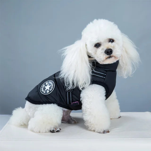 Wind- and Waterproof Jacket for Dogs with Harness