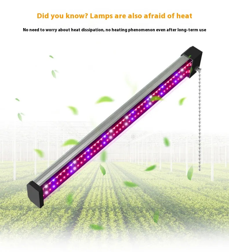 Full Spectrum LED Grow Light with Adjustable Pull Switch – Ideal for Promoting Plant Growth