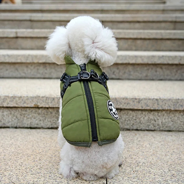 Wind- and Waterproof Jacket for Dogs with Harness