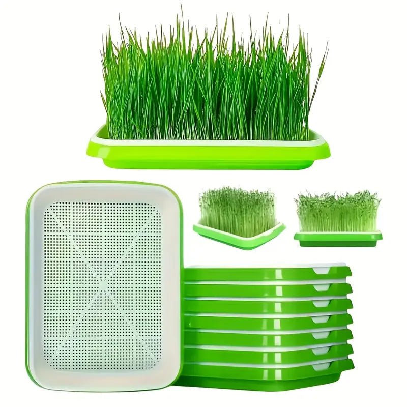 Seed Germination Tray with Lid – Double-Layer Plant Starter Tray for Efficient Growth