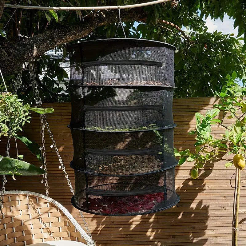 Collapsible Drying Rack for Fruits, Vegetables, and Herbs – Multi-Tier Mesh Organizer for Fast Drying