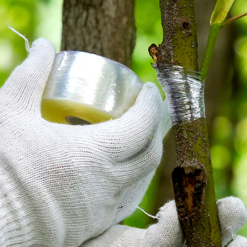 Self-Adhesive Grafting Tape for Plants – Durable Tape for Pruning and Plant Grafting
