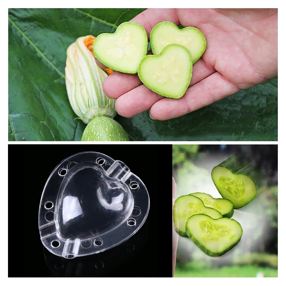 Creative Heart-Shaped Mold – Vegetable and Fruit Shaping Bowl for Unique Presentations