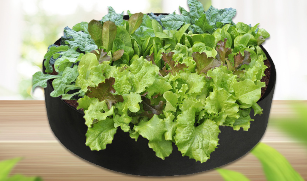 Circular Plant Growth Bag - Durable Garden Container for Healthy Plant Development