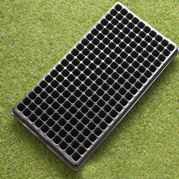 Rectangular Seedling Tray - Ideal for Germination and Plant Growth