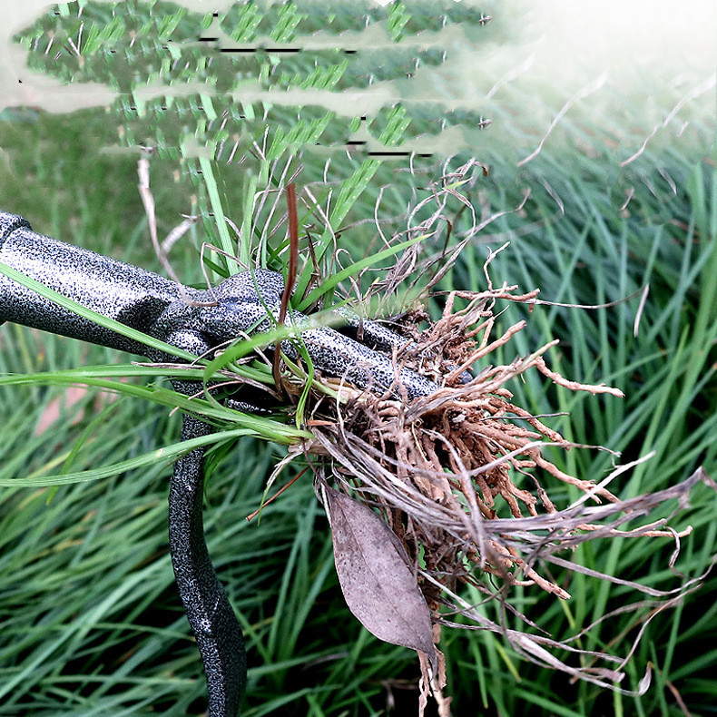 4-Claw Weed Puller - Durable Iron Garden Tool for Efficient Root Removal