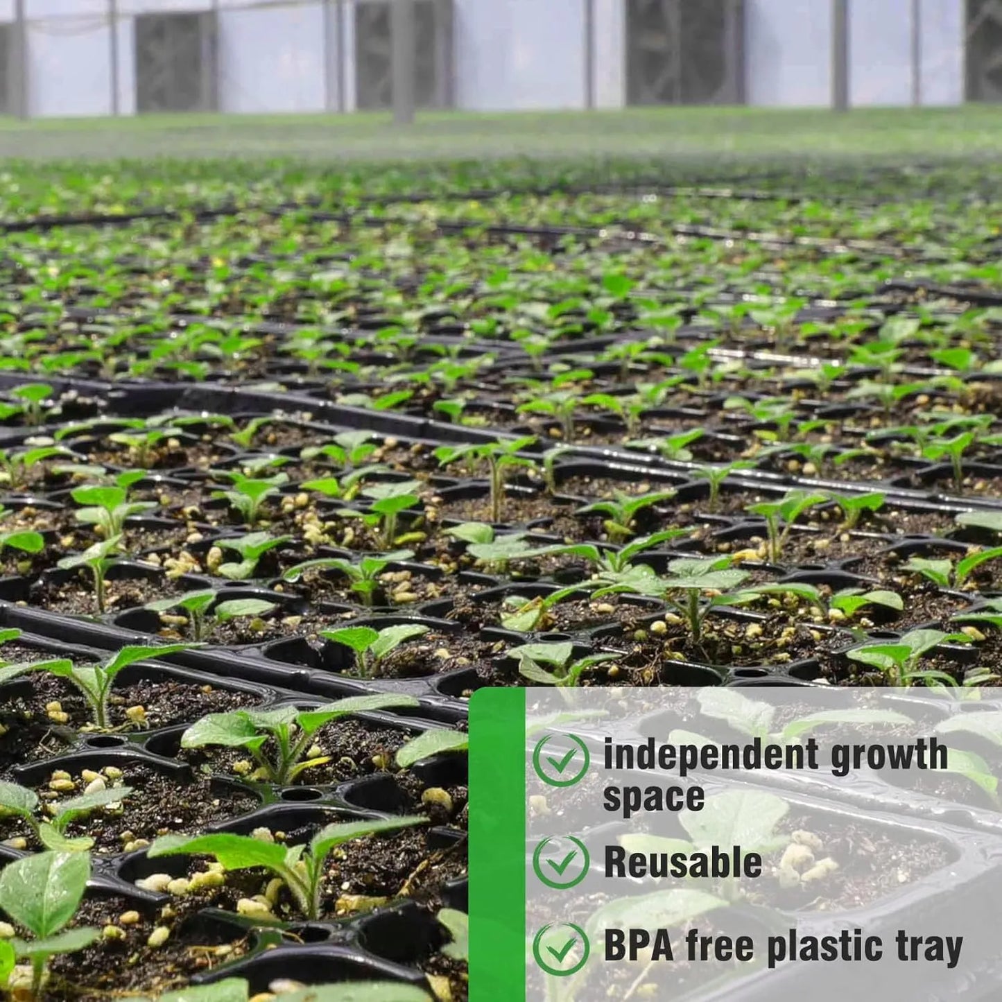 Rectangular Seedling Tray - Ideal for Germination and Plant Growth