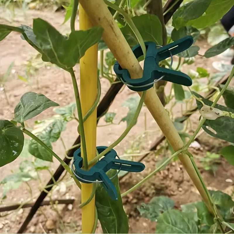 Plant Support Clip Set – Adjustable Garden Loops for Plant Care and Growth Support