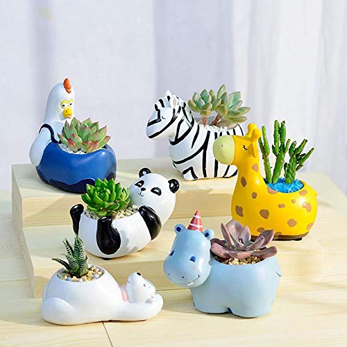 Animal-Shaped Planters – Unique Animal Designs for Succulents and Cactus Display