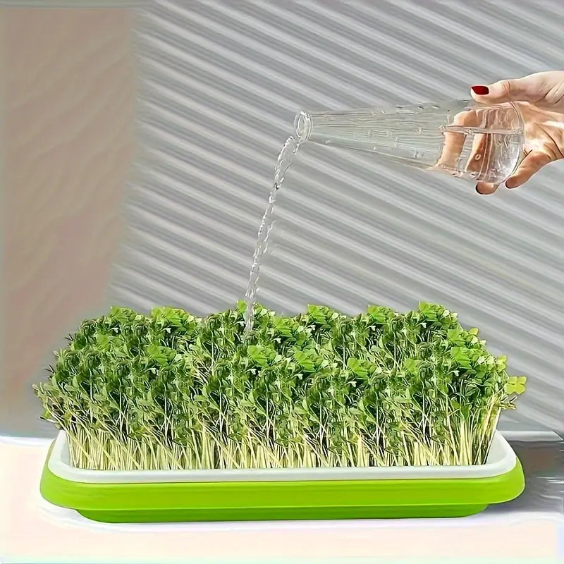 Seed Germination Tray with Lid – Double-Layer Plant Starter Tray for Efficient Growth