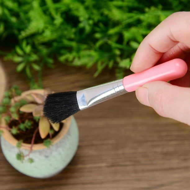 Succulent Planting Tool Kit - Complete Set for Care and Gardening