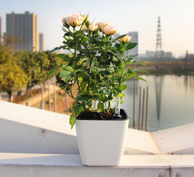 Self-Watering Flower Pot with Built-In Irrigation System – Indoor and Outdoor Planter for Easy Plant Care