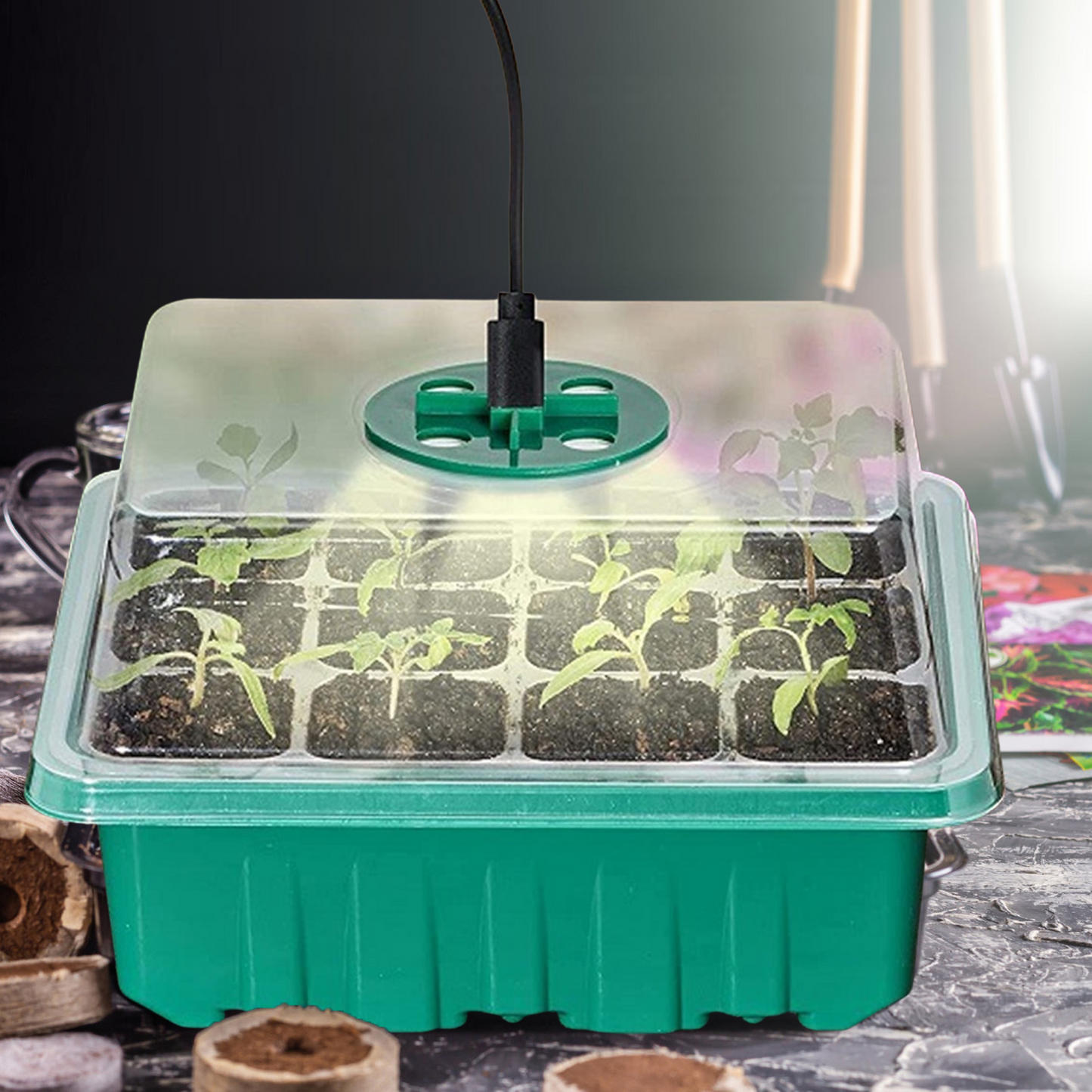 Plant Cultivation Kit with Grow Light - Complete Set for Thriving Indoor Plants