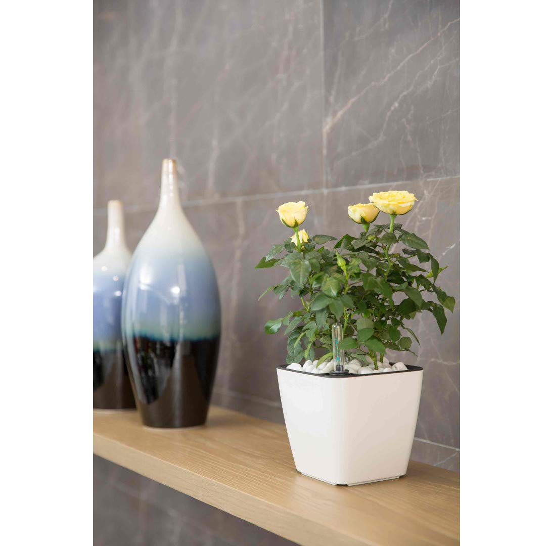 Self-Watering Flower Pot with Built-In Irrigation System – Indoor and Outdoor Planter for Easy Plant Care