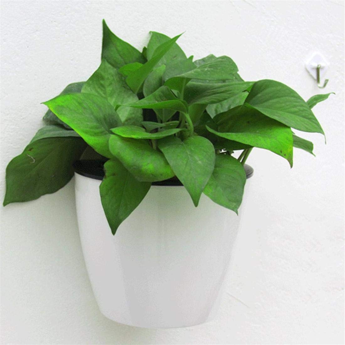 Self-Watering Wall-Mounted Plant Pot – Modern Hanging Planter for Easy Care