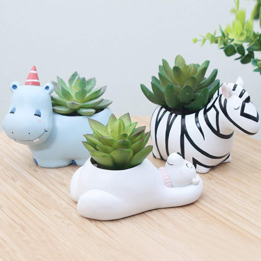 Animal-Shaped Planters – Unique Animal Designs for Succulents and Cactus Display