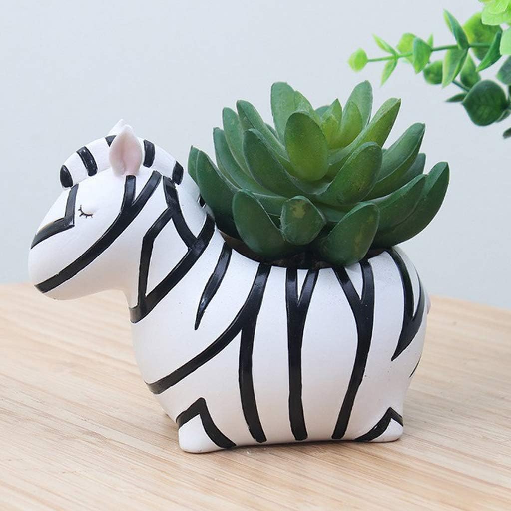 Animal-Shaped Planters – Unique Animal Designs for Succulents and Cactus Display