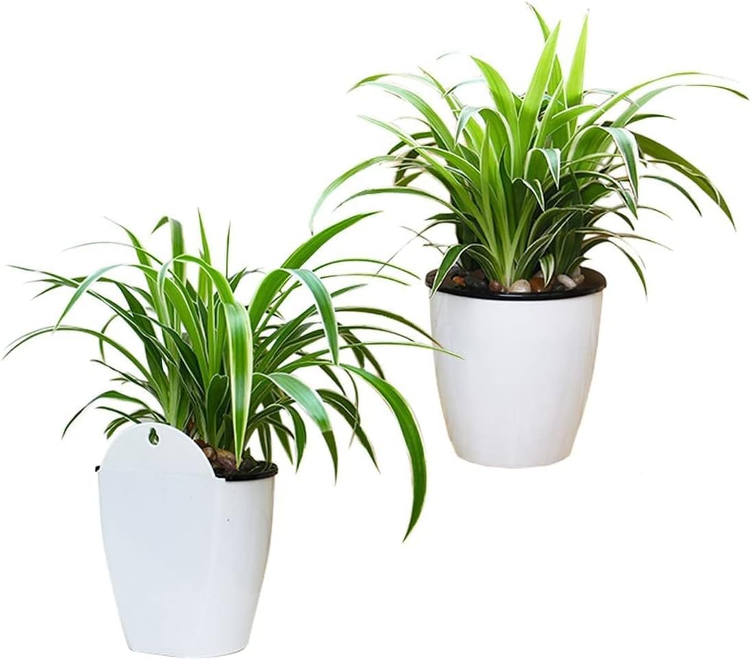Self-Watering Wall-Mounted Plant Pot – Modern Hanging Planter for Easy Care