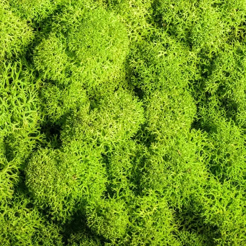 Decorative Artificial Moss with Flowers - Faux Moss for Landscaping and Floristry