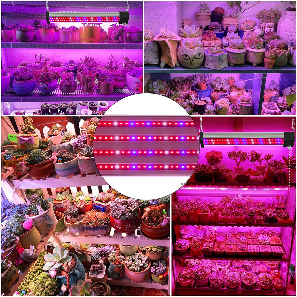Full Spectrum LED Grow Light with Adjustable Pull Switch – Ideal for Promoting Plant Growth