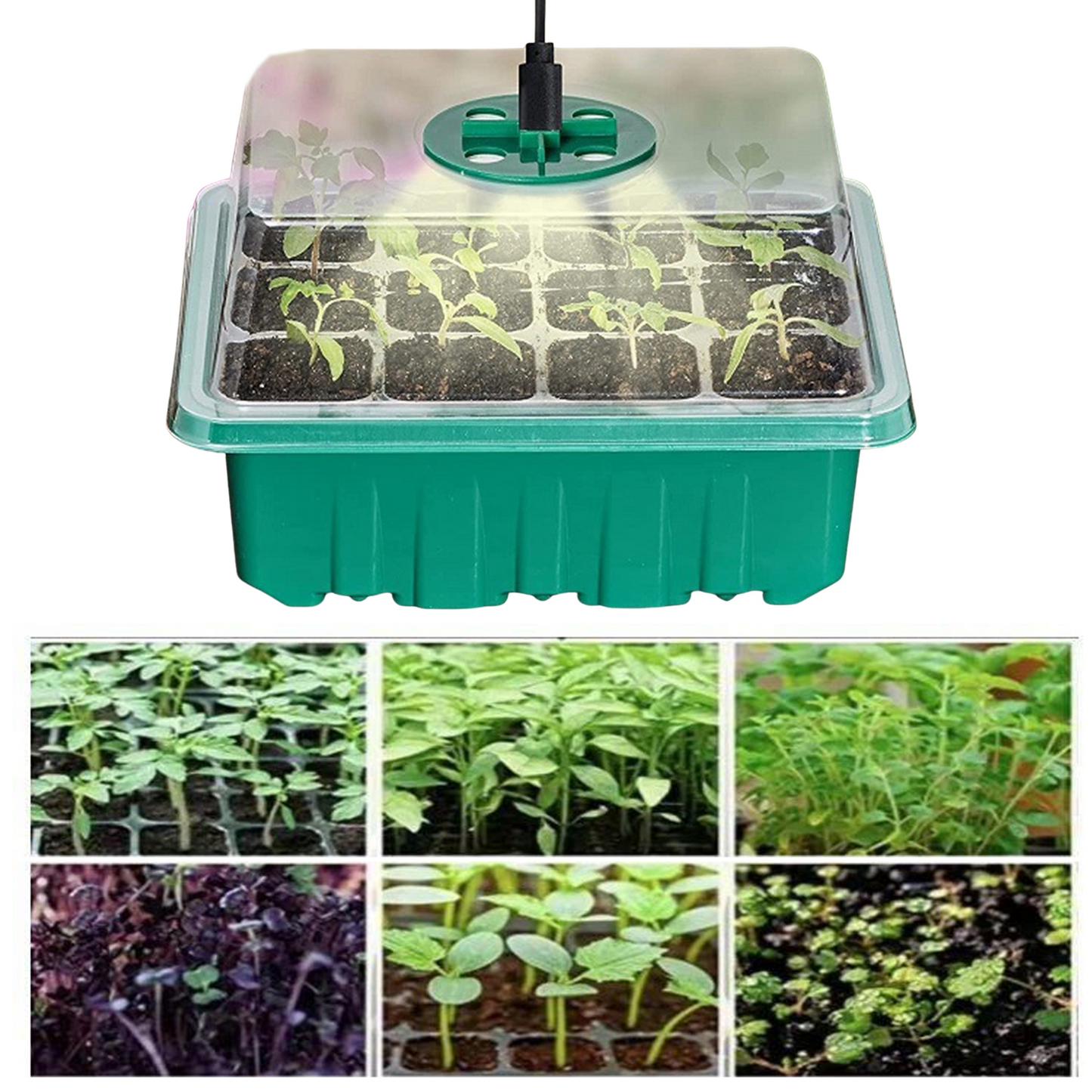 Plant Cultivation Kit with Grow Light - Complete Set for Thriving Indoor Plants