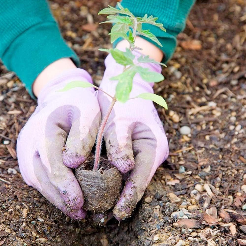 Coconut Coir Peat Pellets – Seed Starting Pods for Easy Plant Germination