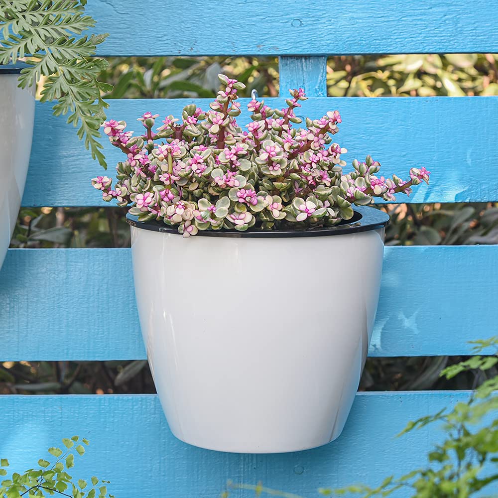 Self-Watering Wall-Mounted Plant Pot – Modern Hanging Planter for Easy Care