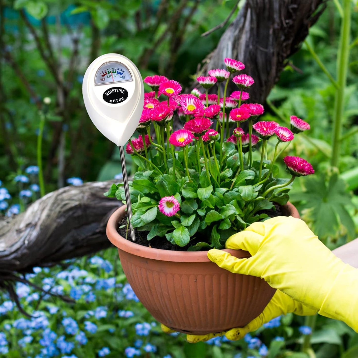 Digital Soil Moisture Meter – Accurate Water Level Tester for Plant Care and Gardening