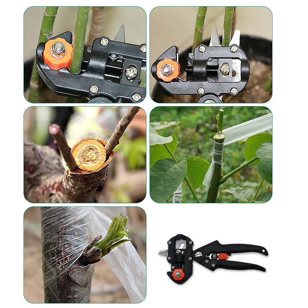 Precision Grafting and Pruning Tool Kit - Essential Tools for Plant Care