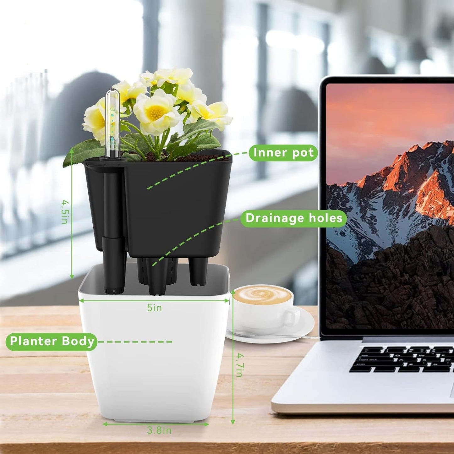 Self-Watering Flower Pot with Built-In Irrigation System – Indoor and Outdoor Planter for Easy Plant Care