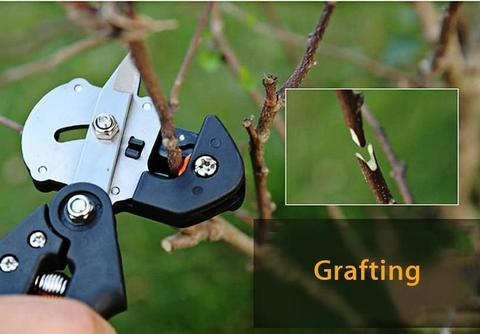 Garden Grafting Scissors β Precision Cutting Tool for Plant Grafting and Pruning