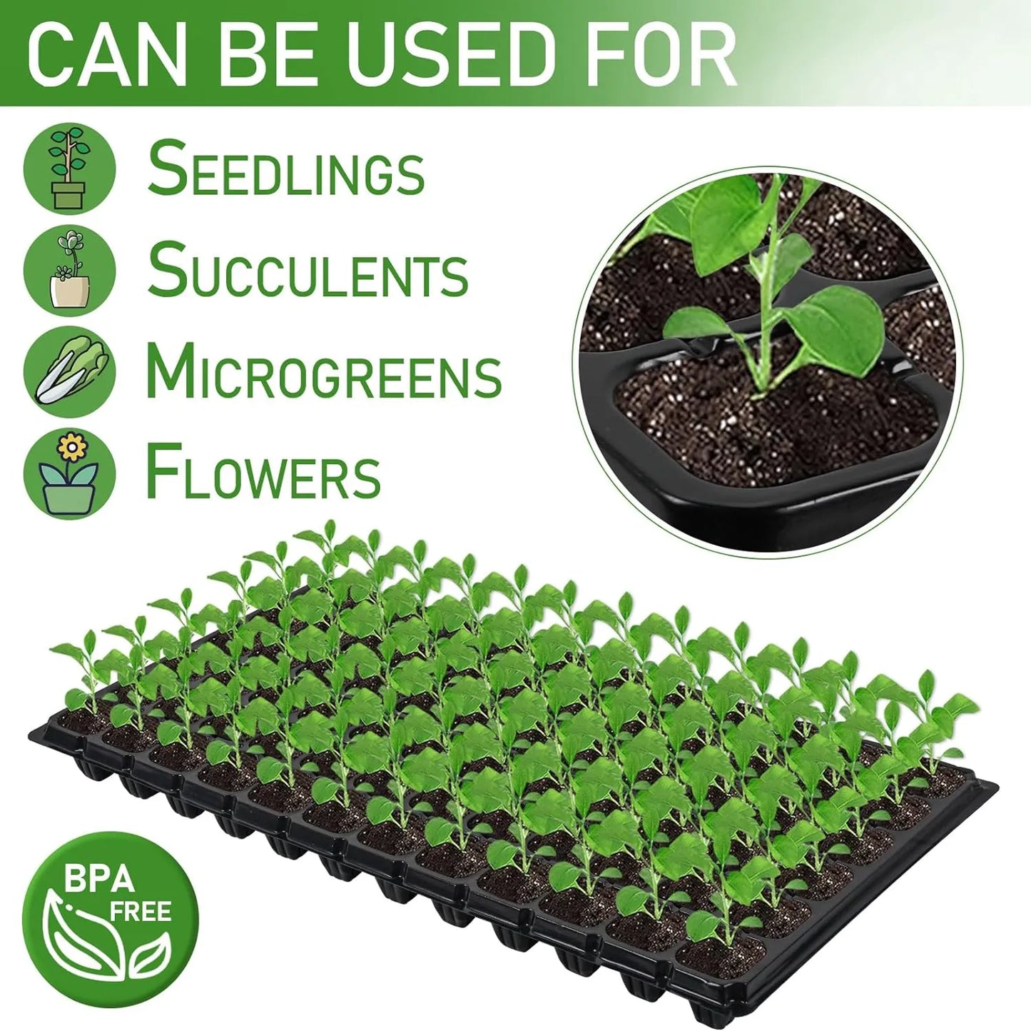 Rectangular Seedling Tray - Ideal for Germination and Plant Growth