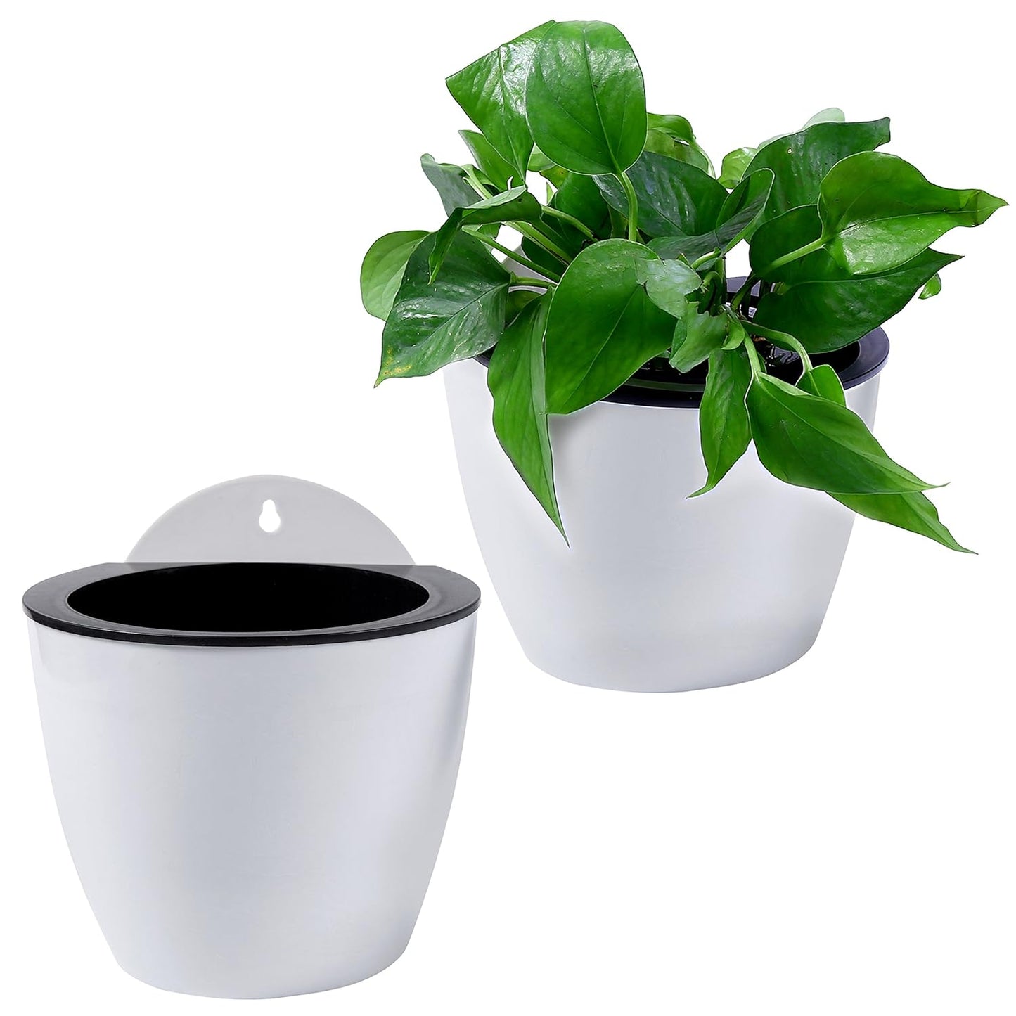 Self-Watering Wall-Mounted Plant Pot – Modern Hanging Planter for Easy Care