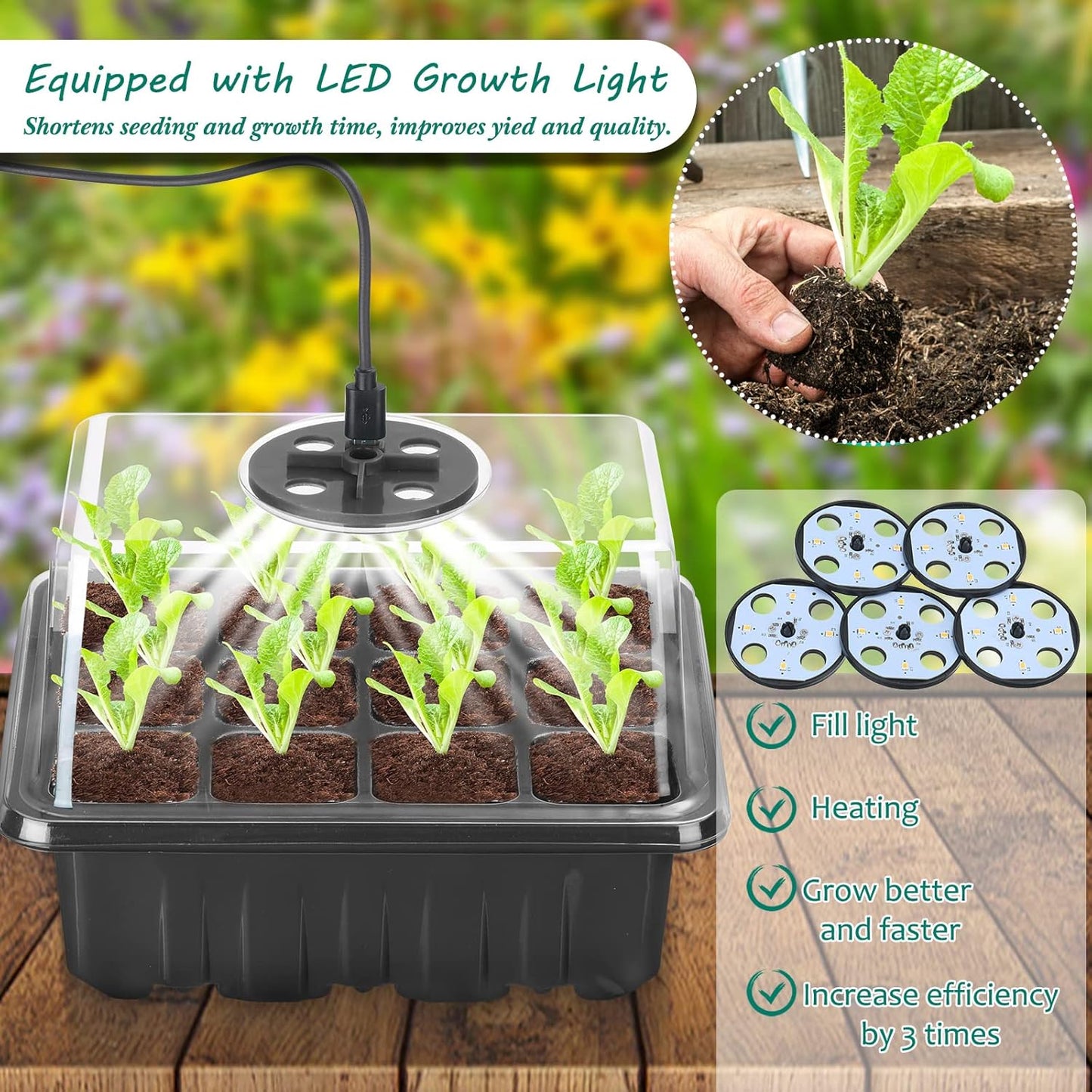 Plant Cultivation Kit with Grow Light - Complete Set for Thriving Indoor Plants