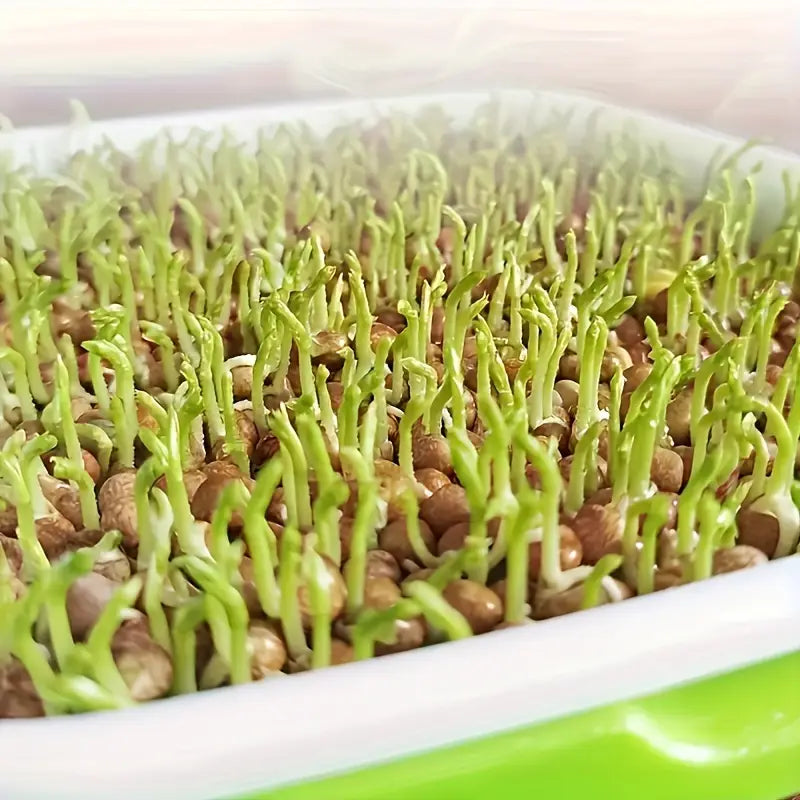 Seed Germination Tray with Lid – Double-Layer Plant Starter Tray for Efficient Growth