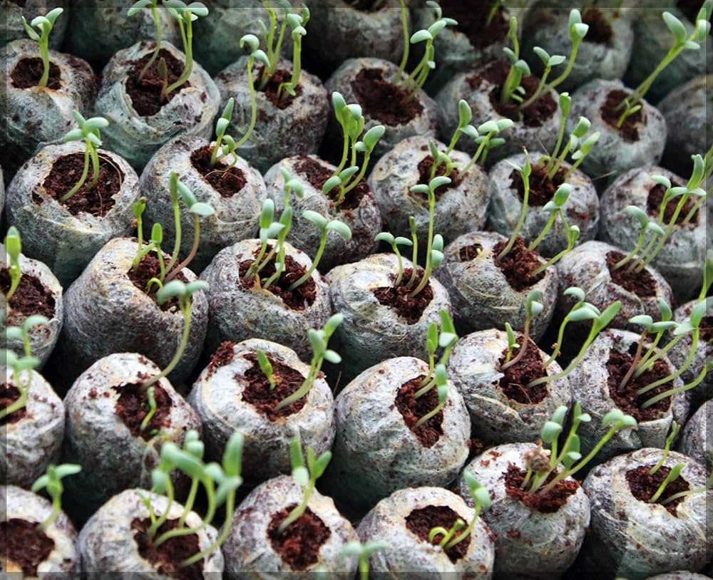 Coconut Coir Peat Pellets – Seed Starting Pods for Easy Plant Germination