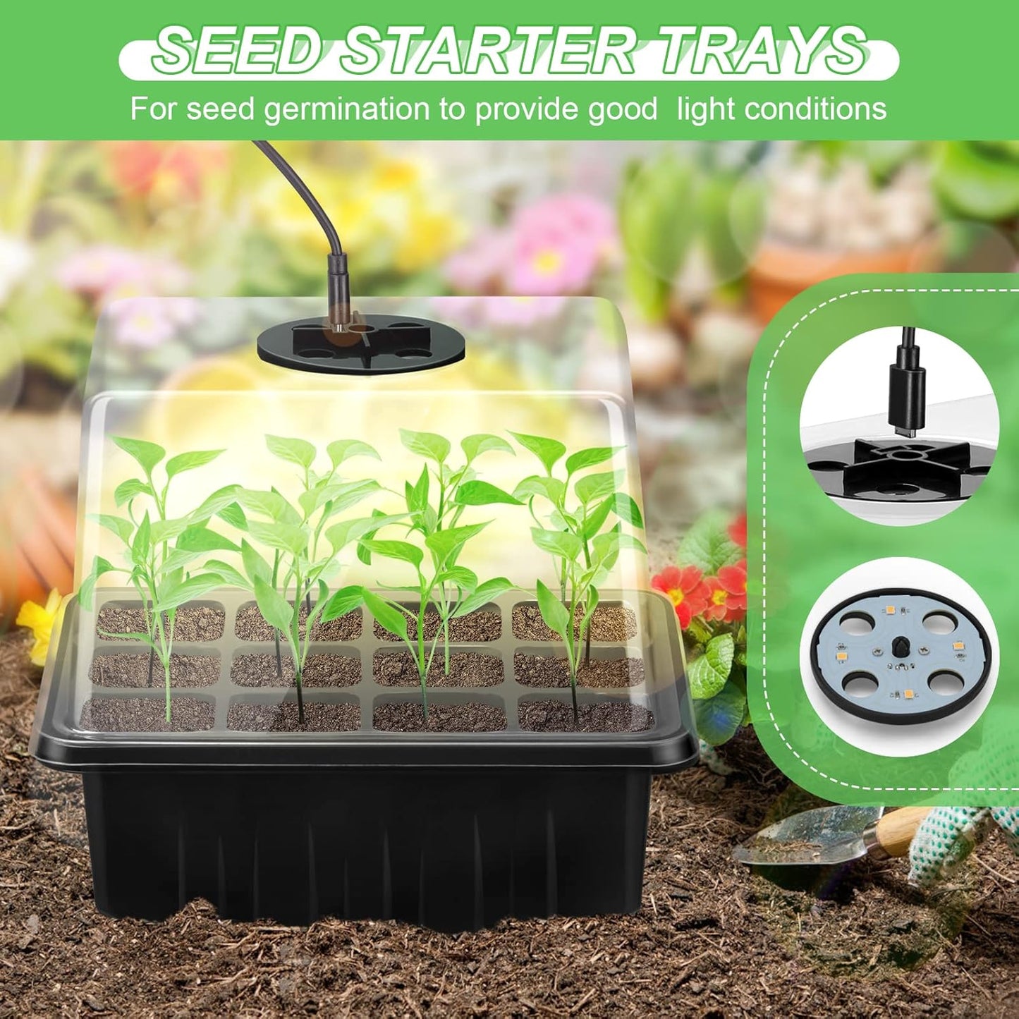 Plant Cultivation Kit with Grow Light - Complete Set for Thriving Indoor Plants