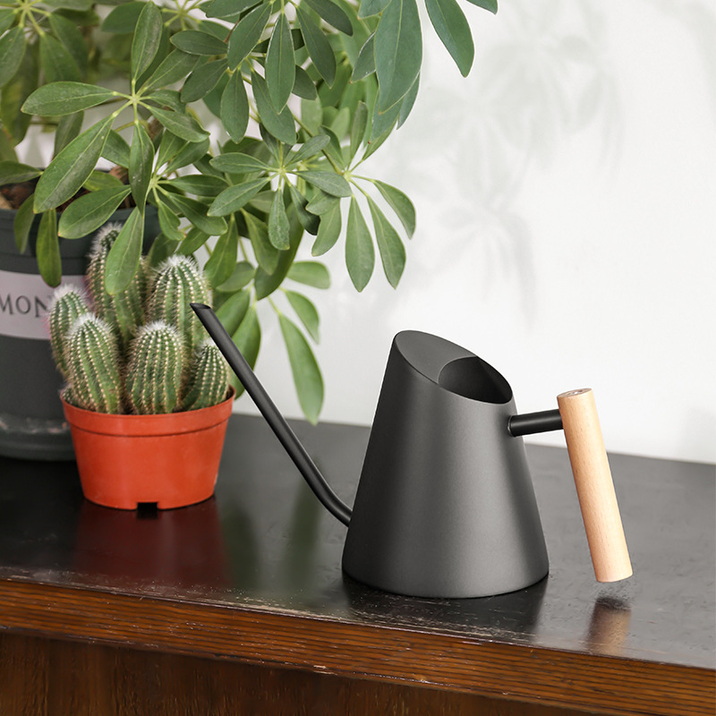 Contemporary Watering Can with Wooden Handle - Elegant Plant Watering Tool for the Garden