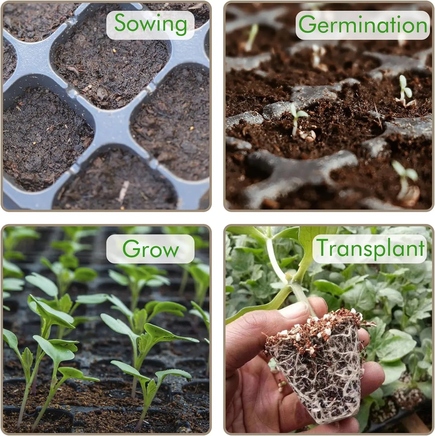 Rectangular Seedling Tray - Ideal for Germination and Plant Growth
